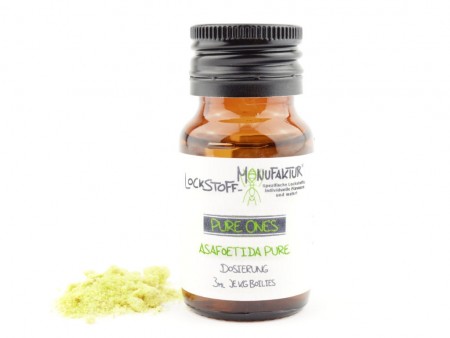 Asafoetida ist ein geheimnisvolles, sehr intensives und fängiges natürliches Pure One.