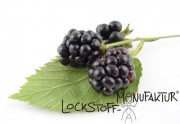 Blackberry-Flavour