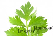 Celery-Flavour