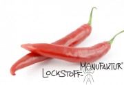 Chili-Flavour