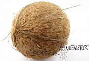 Coconut
