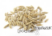Cumin-Flavour