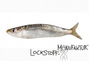 Fish-Flavour