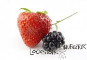 Fruits-Flavour