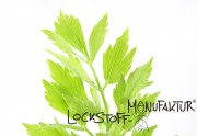 Lovage-Flavour