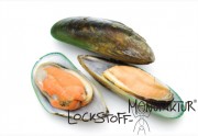 Mussel-Flavour