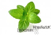 Peppermint-Flavour