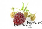 Raspberry-Flavour