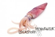 Squid-Flavour