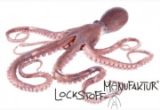 Squid & Octopus-Flavour
