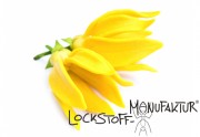 Ylang-Ylang-Flavour