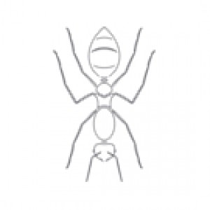 Liva'ZYM Bundle