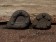 Unlead Gripper Vergleich mit Blei - man beachte die tiefere Mulde unserer Gripper Unleads